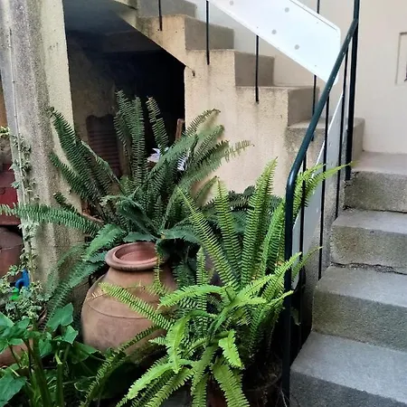 Casa Da Judiaria Velha Pensión Viseu