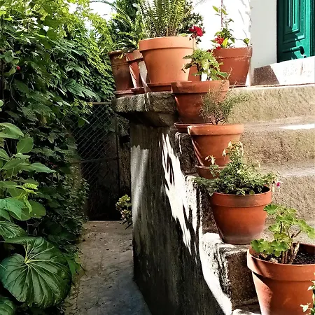 Pensión Casa Da Judiaria Velha