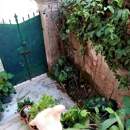 Casa Da Judiaria Velha Penzion Viseu