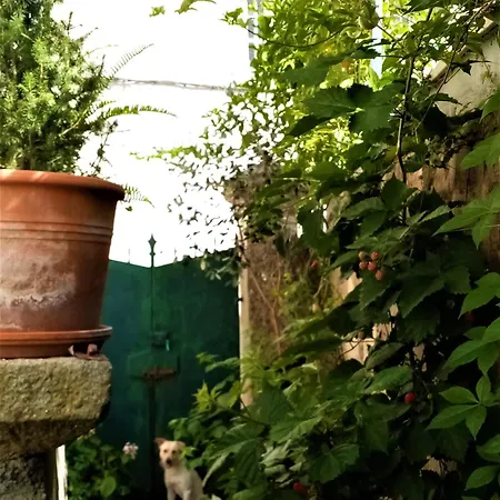 בית הארחה Casa Da Judiaria Velha *