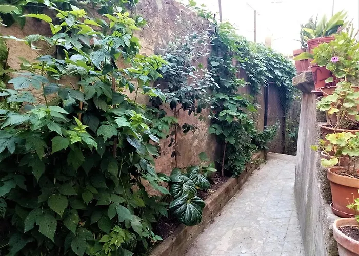 Casa Da Judiaria Velha Maison d'hôtes *