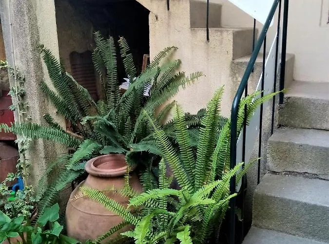 Casa Da Judiaria Velha Maison d'hôtes Viseu