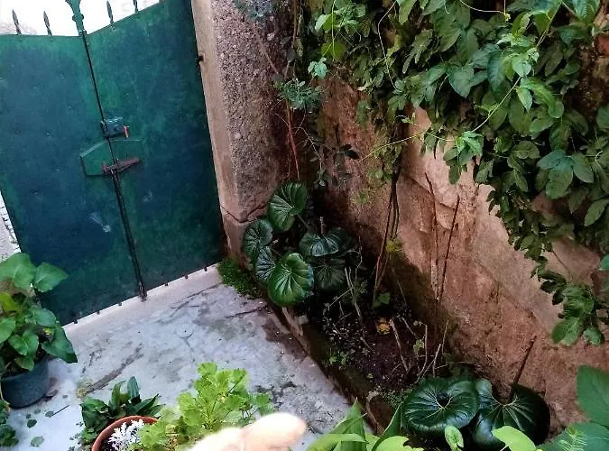 Casa Da Judiaria Velha Maison d'hôtes Viseu