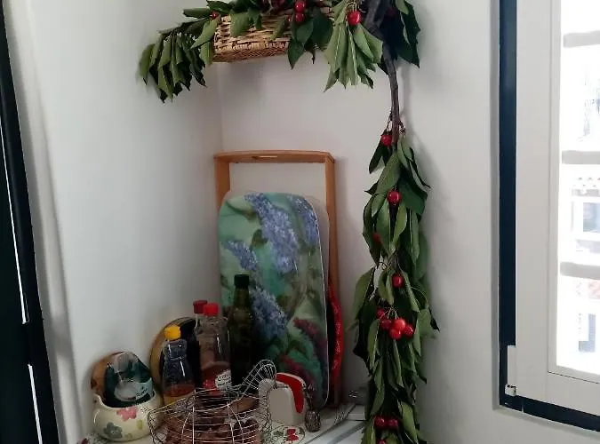 Casa Da Judiaria Velha Maison d'hôtes *