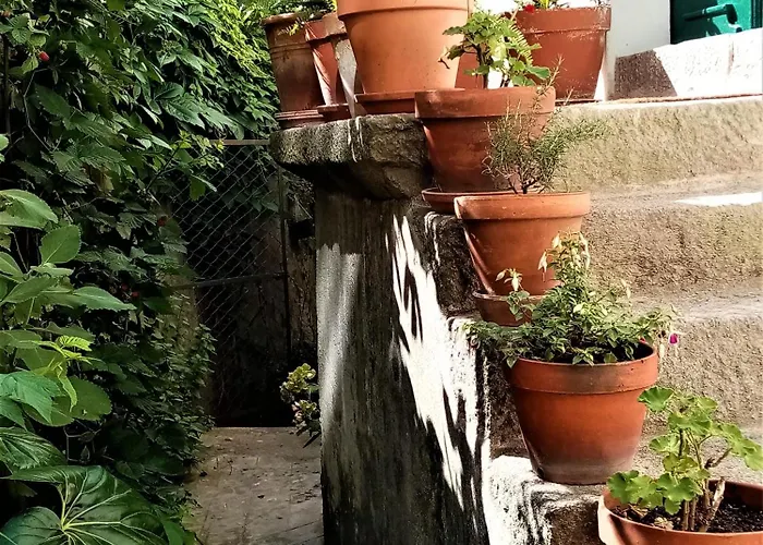 Maison d'hôtes Casa Da Judiaria Velha