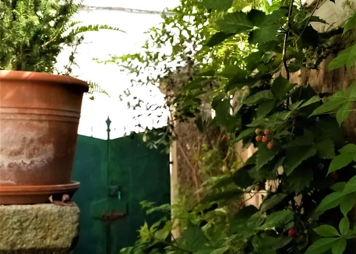 Maison d'hôtes Casa Da Judiaria Velha *